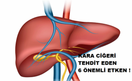 KARACİĞERİ TEHDİT EDEN 6 ÖNEMLİ ETKEN